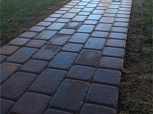 Paver Walk 1